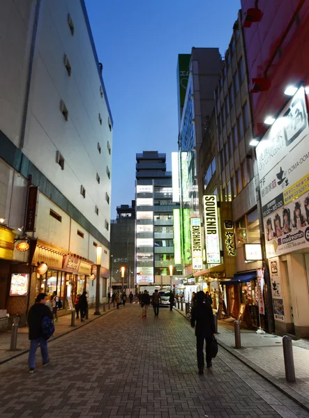 Tokio - 21 listopada: dzielnicy akihabara. 21 listopada 2013 w tokyo, Japonia — Zdjęcie stockowe