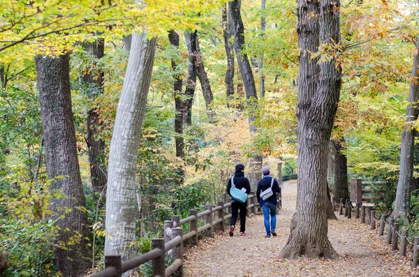 Par promenader i färgglad höst skog — Stockfoto