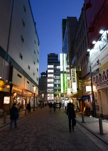 TOKYO - NOV 21: Akihabara district November 21, 2013 in Tokyo, Japan — Stock Photo, Image