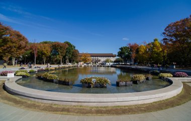 Tokyo Ulusal Müzesi, Japonya'daki en büyük ve Müzesi