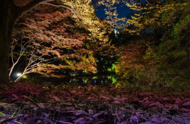 rikugien Garden mevsimlik Aydınlatmaları