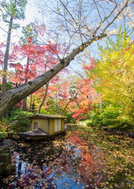 Sonbaharda Japon bahçesi