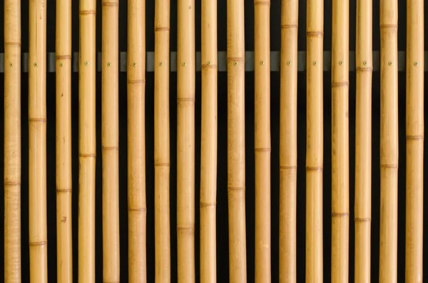 Recinzione di bambù sfondo — Foto Stock