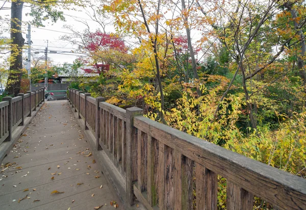 Vecchio ponte di legno nella foresta autunnale — Foto Stock