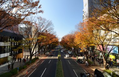 Tokyo - Kasım 24: 24 Kasım sokakta omotesando insanlar. 2013