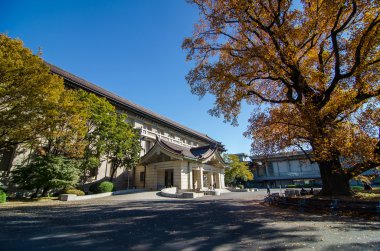  Tokyo Ulusal Müzesi, Japonya'daki en büyük ve Müzesi