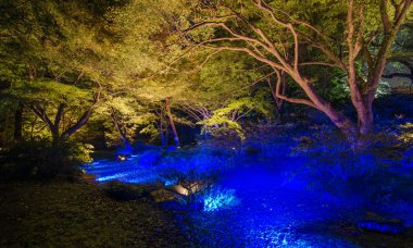 Mevsimlik Aydınlatmaları rikugien Bahçe, tokyo, Japonya