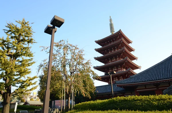 Pięć piętrowy pagoda w sensoji Rozciągacz w tokyo, Japonia — Zdjęcie stockowe