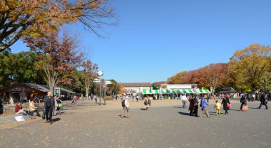 Tokyo - 22 Kasım: ziyaretçiler zevk ueno Park kiraz çiçeği