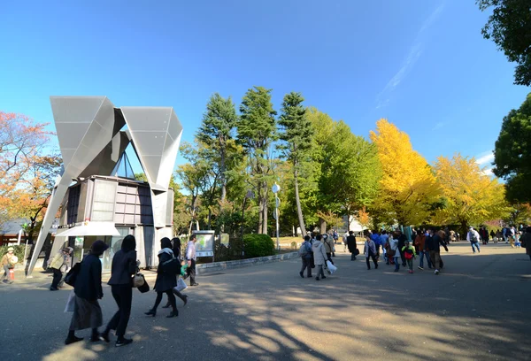 TOKIO - 22 DE NOVIEMBRE: Los visitantes disfrutan de la flor de cerezo en el Parque Ueno — Foto de Stock