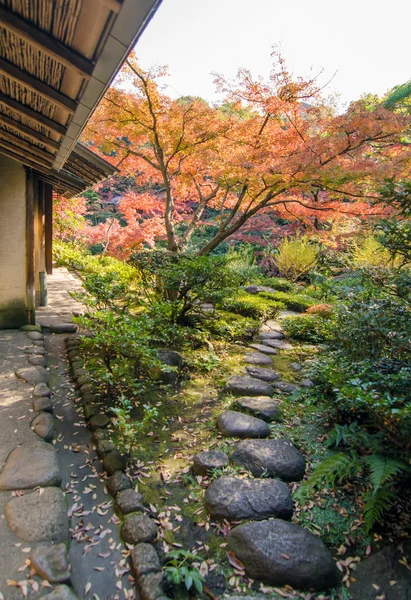 Kamienny chodnik w tradycyjny japoński ogród — Zdjęcie stockowe