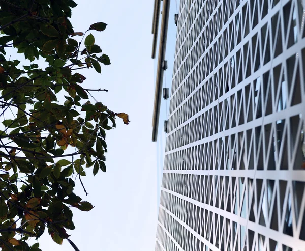 Sechsecke Stahlfassade mit Natur — Stockfoto