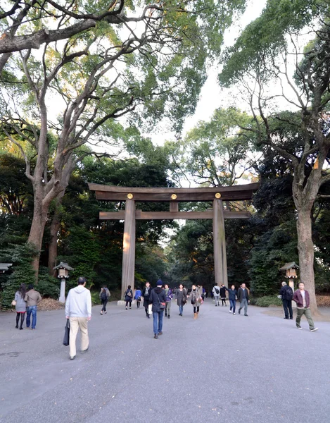 TOKYO - NOV 23: La Porta Torii all'ingresso del Santuario Meiji Jingu — Foto Stock