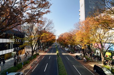 Tokyo - Kasım 24: insanlar omotesando cadde üzerinde 