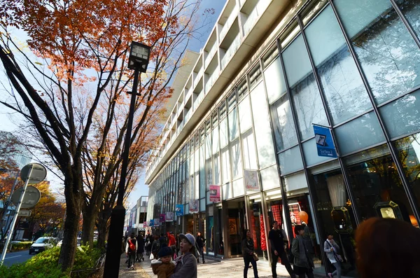 东京 — — 11 月 24 日电： 在表参道山周围购物的人 — 图库照片