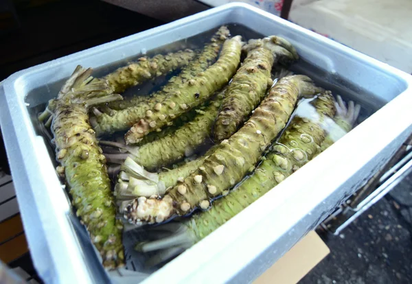 Radice di wasabi al mercato giapponese . — Foto Stock