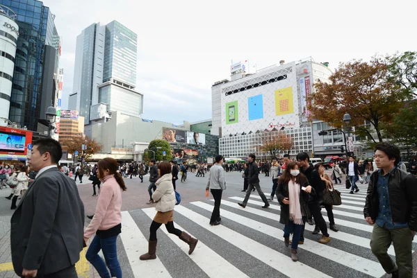 TOKYO - NOVEMBER 28: Skarer af mennesker krydser centrum af Shibuya - Stock-foto