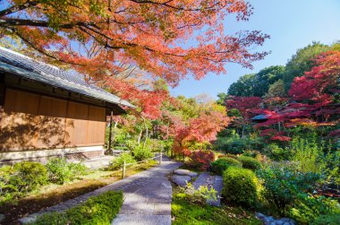 geleneksel Japon bahçesi