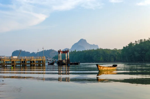 タイのマングローブ森林局所熱帯雨林 — ストック写真