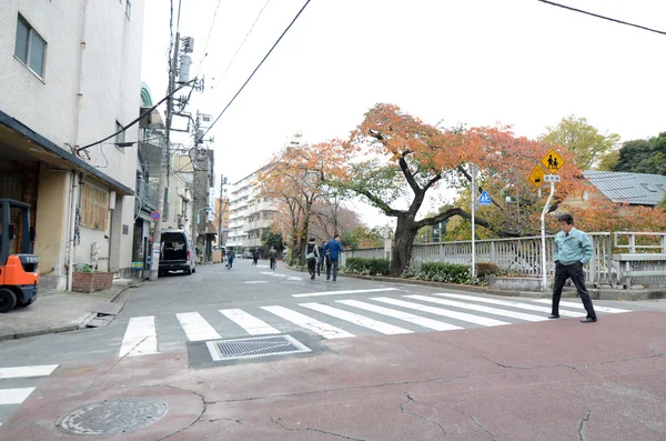 TOKYO, GIAPPONE - 25 novembre 2013: Crosswalk e pista ciclabile nel quartiere Sekiguchi di Tokyo, Giappone . — Foto Stock