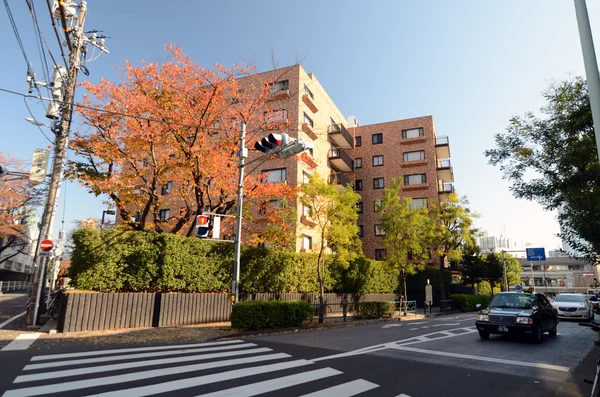 东京 — — 11 月 24 日电： 在表参道街头幢住宅大厦 — 图库照片