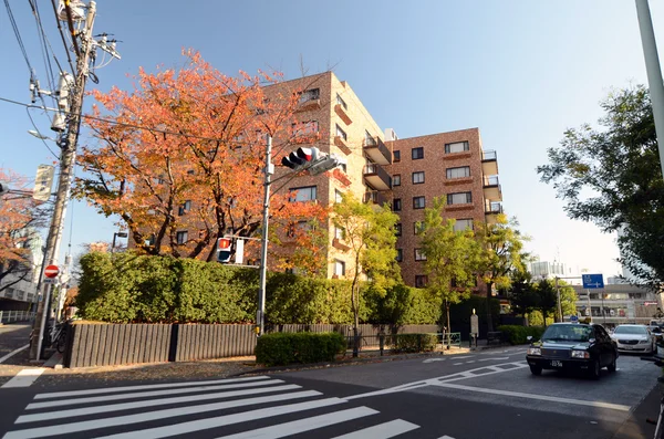 Tokyo - Kasım 24: Konut bina omotesando sokak — Stok fotoğraf