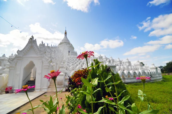 Beyaz hsinbyume Selami Tapınağı pagoda adlı güzel bir çiçek — Stok fotoğraf