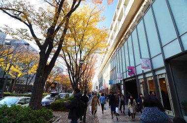 Tokyo - 24 Kasım: insanlar omotesando hills alışveriş 