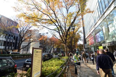 Tokyo - 24 Kasım: insanlar omotesando cadde üzerinde
