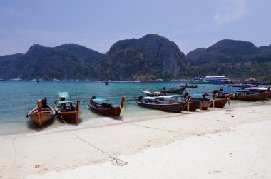 phi phi Island leh plajda uzun kuyruk tekneler