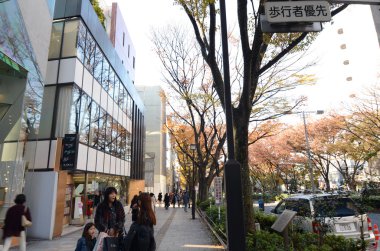 Tokyo, Japonya-Nonember 24, 2013: Omotesando Street, Tokyo, Japonya 'da alışveriş yapan Insanlar