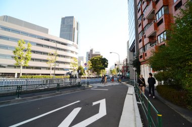 Tokyo, Japonya-23 Kasım 2013: Roppongi semtinde dolaşan Insanlar