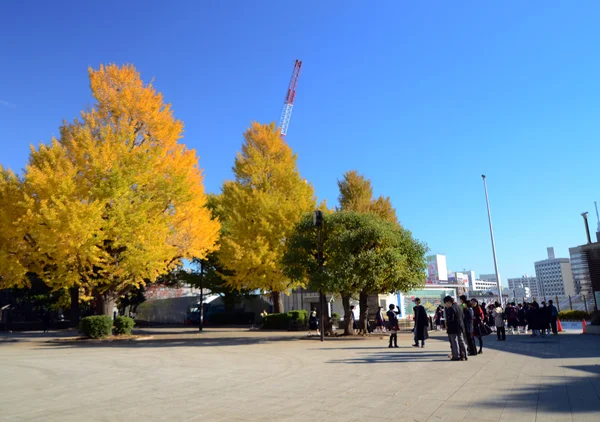 Tokyo, Japan - November 22, 2013: Besökare njuta av färgglada träd i Ueno Park, Tokyo. — Stockfoto