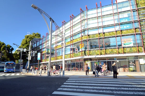 Tokyo, Japon - 22 novembre 2013 : Les visiteurs profitent d'arbres colorés autour d'Ueno Park, Tokyo . — Photo