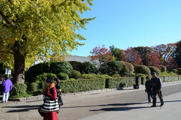 Tokyo, Giappone - 22 novembre 2013: I visitatori godono di alberi colorati nel Parco di Ueno, Tokyo . — Foto Stock