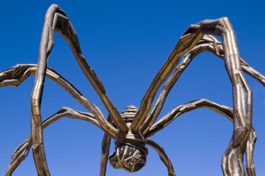 Dev örümcek 'Anne', louise bourgeois tarafından