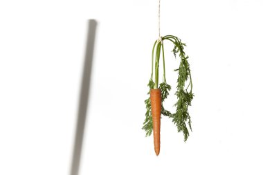 Double motivation with carrot and stick clipart