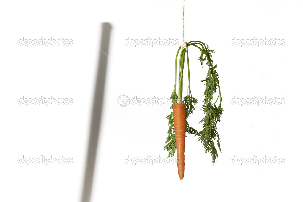 Double motivation with carrot and stick