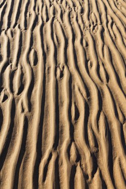 düşük gelgit sırasında kum kalıp