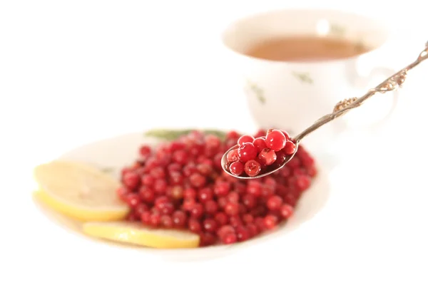 Do you want soaked cowberries — Stock Photo, Image