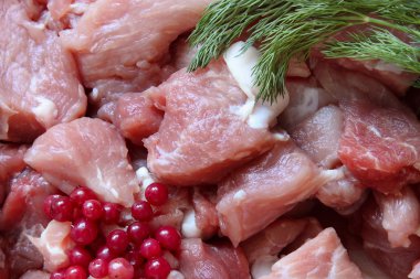 dereotu ve cowberries çiğ et arka plan