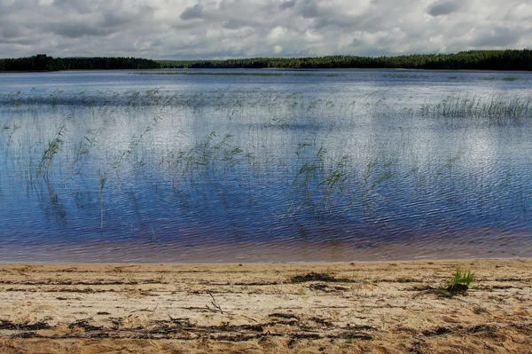 Karelian lake landscape background with sand and forest — Stock Photo, Image