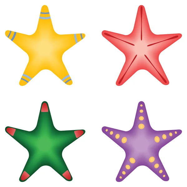 Four Starfish samples vector — Stock Vector