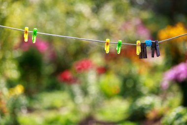 renkli clothespins