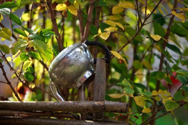 çaydanlık wattle çit