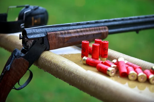 Gewehr mit Patronen — Stockfoto