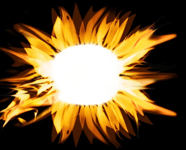 Fire sunflower — Stock Photo, Image