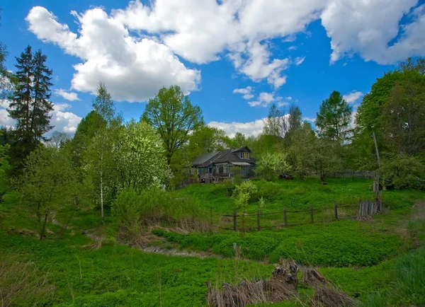 Cabin in bos — Stockfoto