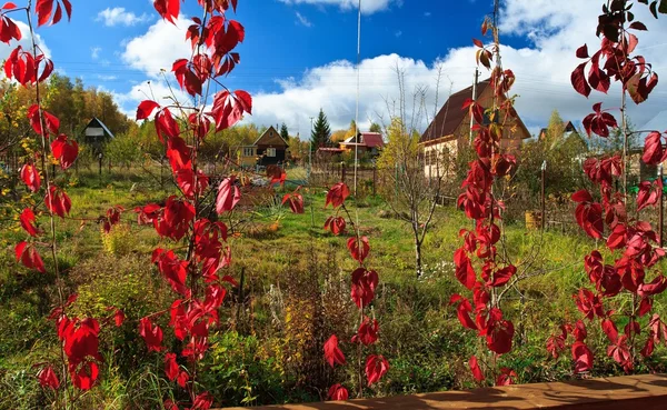 A small cabin in the autumn in the village — Stock Photo, Image