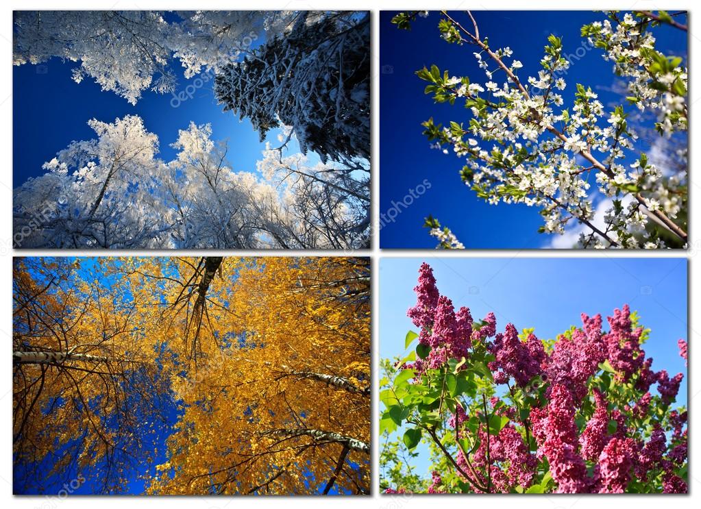 Vier Jahreszeiten. Natur im Frühling, Sommer, Herbst und Winter